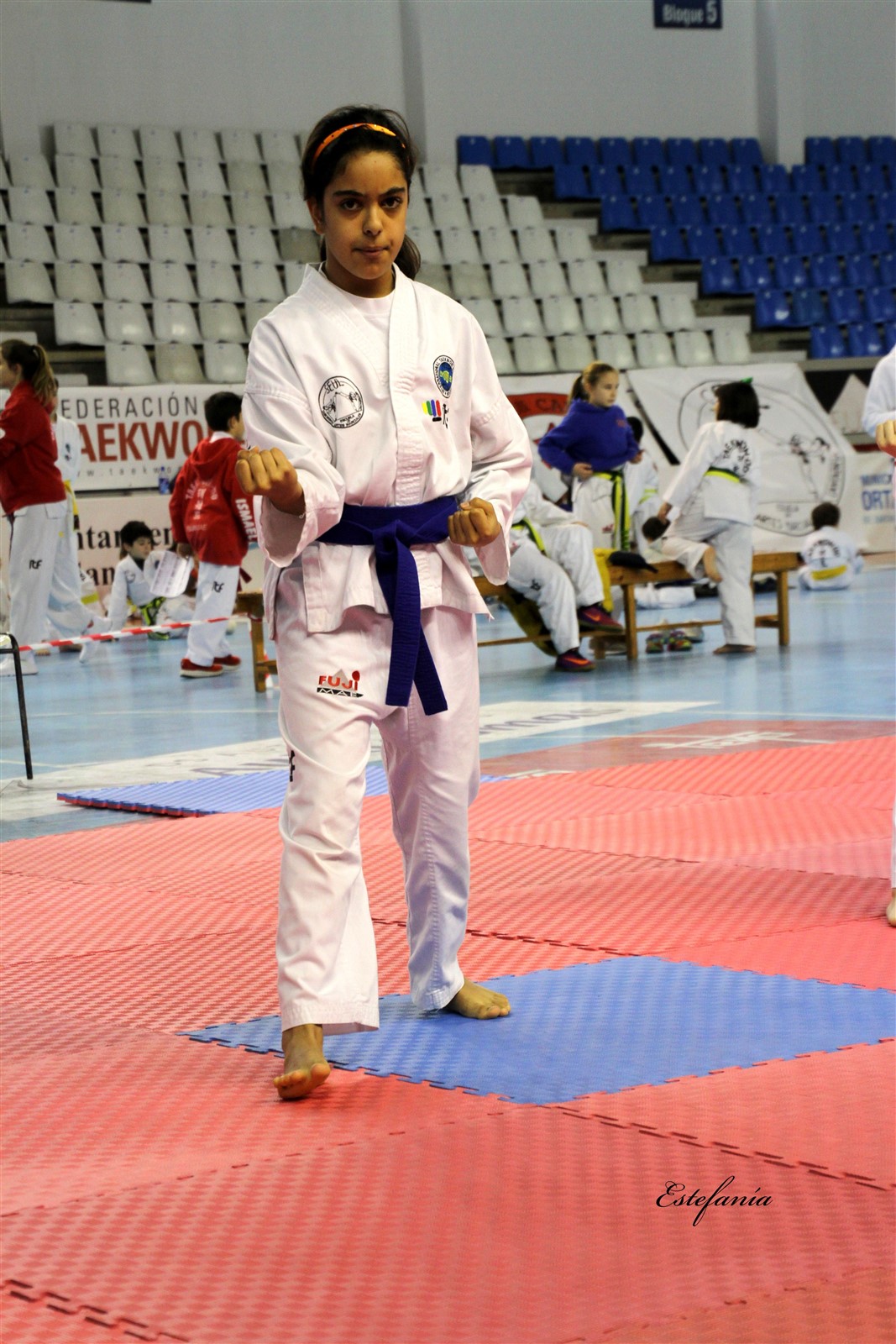 Taekwondo (143).jpg